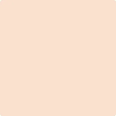 064: Nautilus Shell  by Benjamin Moore