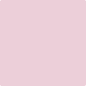 1360: Misty Rose  by Benjamin Moore