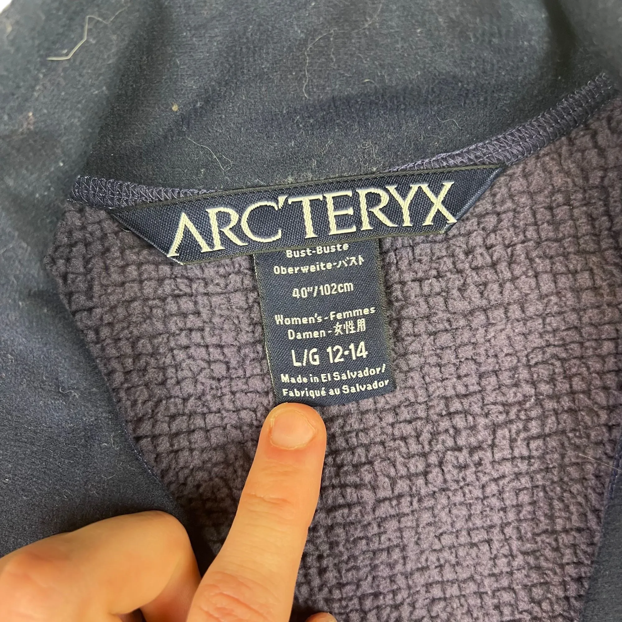 Arc'teryx Quarter-Zip Pullover Fleece Purple