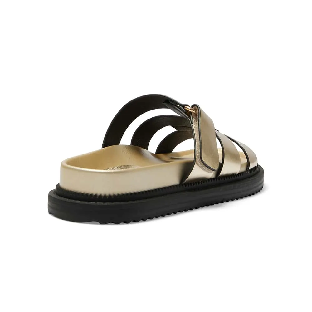 Balmoral Sandal in Gold Smooth Smooth